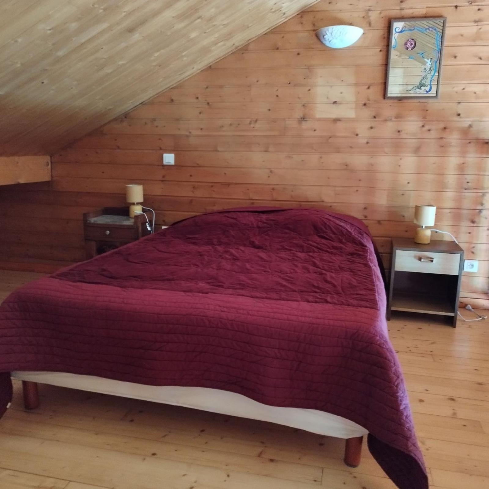 Chalet Les Adrets Du Sancy Saint-Diery Kültér fotó
